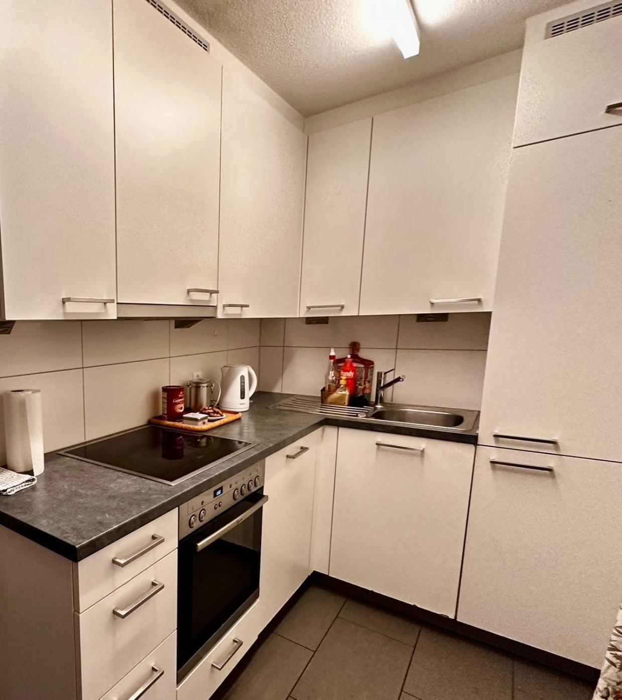 Spacious Apartment Ζυρίχη Εξωτερικό φωτογραφία
